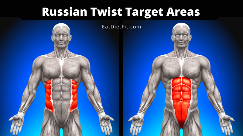 Russian Twist Target Areas and Oblique Muscles